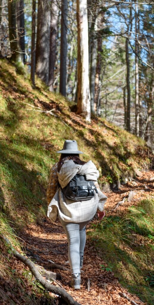 georgia veterans state park rv park